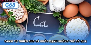 Canxi Tự Nhiên Cho Gà Khỏe Mạnh Không Thể Bỏ Qua