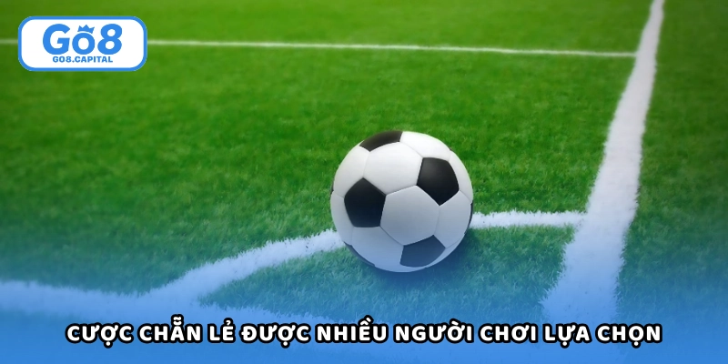 Cược chẵn lẻ được nhiều người chơi lựa chọn